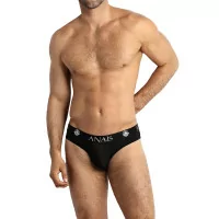 Black Mesh Brief - Eros