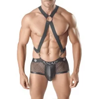 Harness Axel 3
