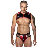 Harness & Mesh Brief Set – Red & Black Wetlook