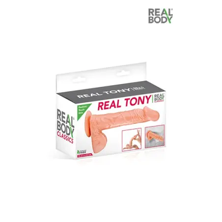  - Real Body - Busyx importieren - Detail 2