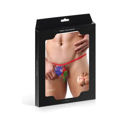  - Paris Hollywood - Importa busyx - vista 4