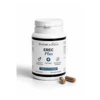 Suplemento Energia Homem - Kola, Ginseng, 60 Cápsulas — Erec Plus - Divinextases