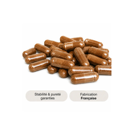 Suplemento Energia Homem - Kola, Ginseng, 60 Cápsulas — Erec Plus - Divinextases