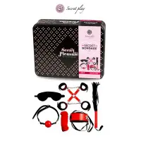Red and Black 8-Piece BDSM Kit with Hogtie Cross - Secret Bondage