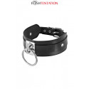 BDSM collar with ring