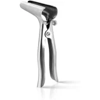 Speculum Anal