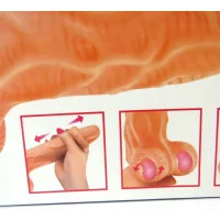 Ultra-realistische dildo 19cm met glijdende voorhuid - Real Jo - Real Body (€&nbsp;58,51) | Poppers Express