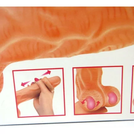 Ultra-realistische dildo 19cm met glijdende voorhuid - Real Jo - Real Body (€&nbsp;58,51) | Poppers Express