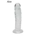 Empire —&nbsp;Dildo Jelly Extra Glissant 19.3cm