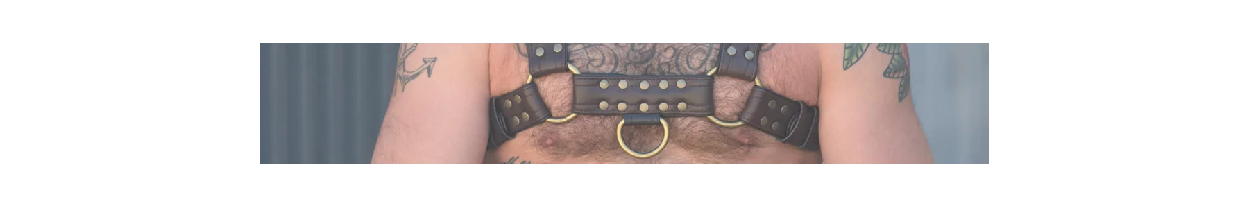 Harnês masculino: couro e estilo fetiche | Envio discreto